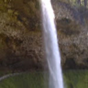 Meet your Posher, Rose